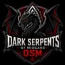 DSM Logo